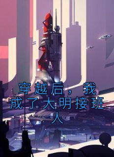 穿越后，我成了大明接班人精品小说