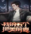 我的五个绝美前妻畅销巨作
