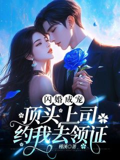 闪婚成宠，顶头上司约我去领证最新热门小说