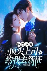 闪婚成宠，顶头上司约我去领证最新热门小说