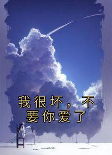 我很坏，不要你爱了完整文本