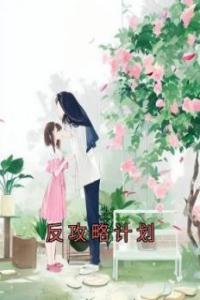 反攻略计划全文版