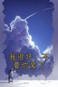 我很坏，不要你爱了完整文本