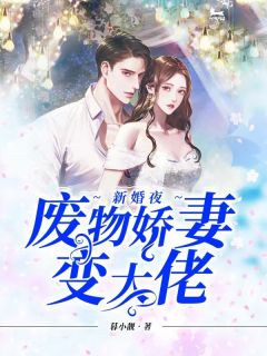 傅爷:夫人又惊艳全球了畅销小说推荐