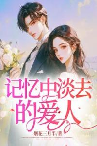 记忆中淡去的爱人精选小说推荐