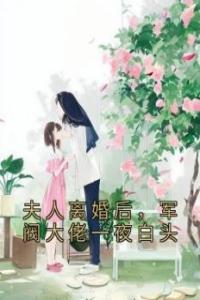 夫人离婚后，军阀大佬一夜白头完整文本