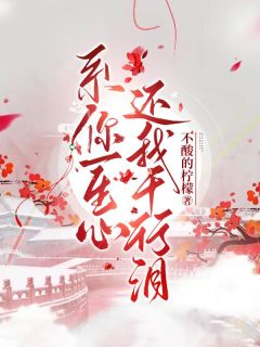 系你一生，还我千行泪精品小说