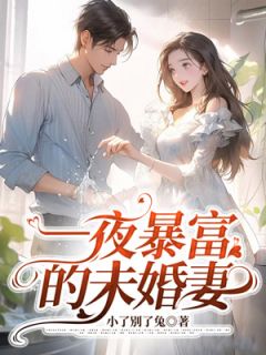 一夜暴富的未婚妻精选小说