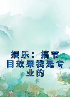 娱乐：搞节目效果我是专业的精选小说推荐