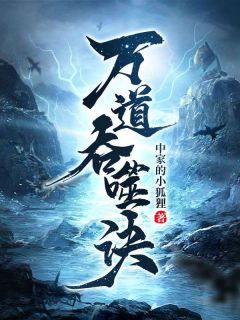 万道吞噬诀全文阅读