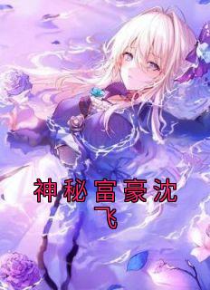 神秘富豪沈飞精品阅读