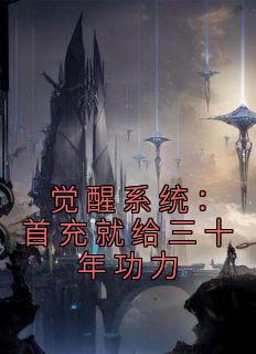 觉醒系统：首充就给三十年功力全集小说推荐