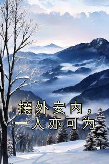 攘外安内，一人亦可为畅销巨作