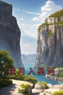 揽月入星河全本阅读
