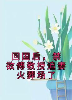 回国后，禁欲傅教授追妻火葬场了全本阅读