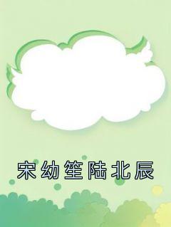 宋幼笙陆北辰完整阅读