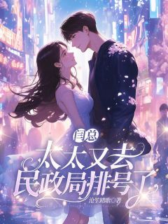 闫总，太太又去民政局排号了精选小说