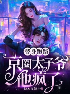 替身跑路，京圈太子爷他疯了完整版