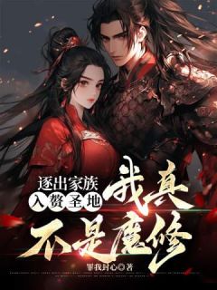 逐出家族，入赘圣地，我真不是魔修畅销小说推荐