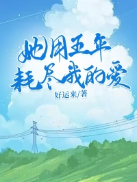 她用五年耗尽我的爱热门小说