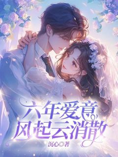 六年爱意，风起云消散长篇小说