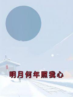 明月何年照我心热门小说
