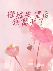 攒够失望后，我离开了精选小说