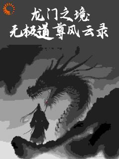 龙门之境：无极道尊风云录畅销巨著