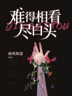 难得相看尽白头畅销巨著