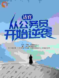 达官：从公务员开始逆袭精选小说