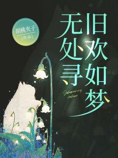 旧欢如梦无处寻完整版