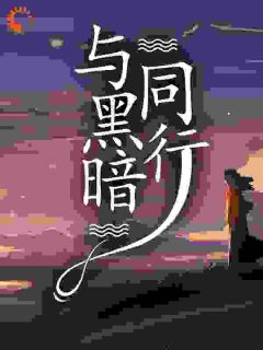与黑暗同行畅销小说推荐