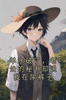 羊水破了，老公的秘书却说我在尿裤子精选小说推荐