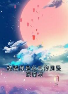 结婚我是认真的周晏深秦月全集小说推荐