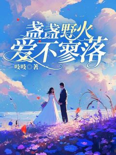 盏盏野火爱不寥落完整阅读