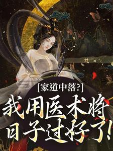家道中落？我用医术将日子过好了！全文版