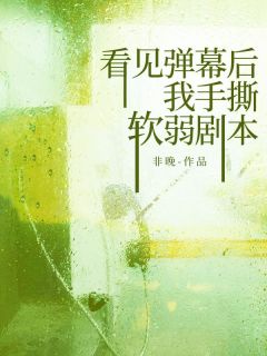 看见弹幕后，我手撕软弱剧本热门小说