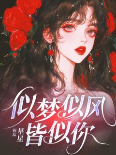 似梦似风皆似你优秀文集