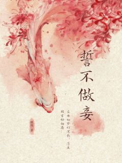 誓不做妾全章阅读