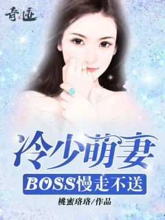 冷少萌妻：BOSS慢走不送精选小说推荐