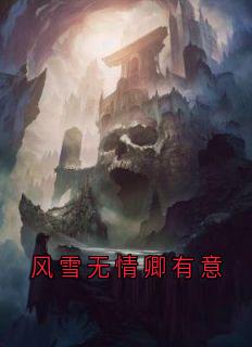风雪无情卿有意精品阅读