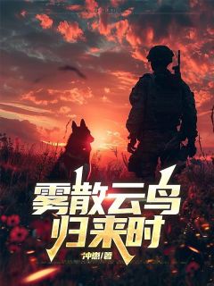 雾散云鸟归来时最新热门小说