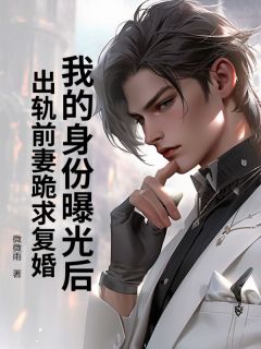我的身份曝光后，出轨前妻跪求复婚长篇小说