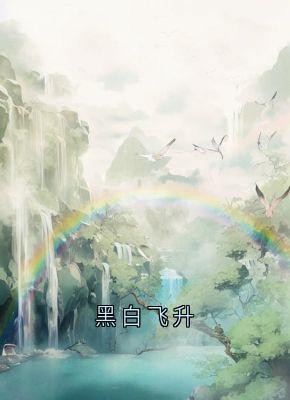 黑白飞升全章阅读