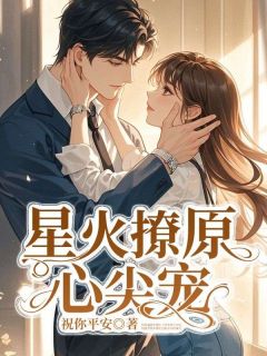 星火撩原心尖宠畅销巨著