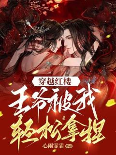 穿越红楼：王爷被我轻松拿捏完整文集阅读