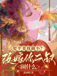 娶平妻我做小？改嫁你二叔闹什么完整版