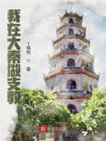 我在大秦做支教精选小说
