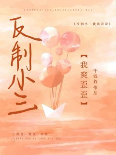 反制小三我爽歪歪长篇小说