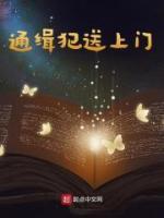 通缉犯送上门长篇小说
